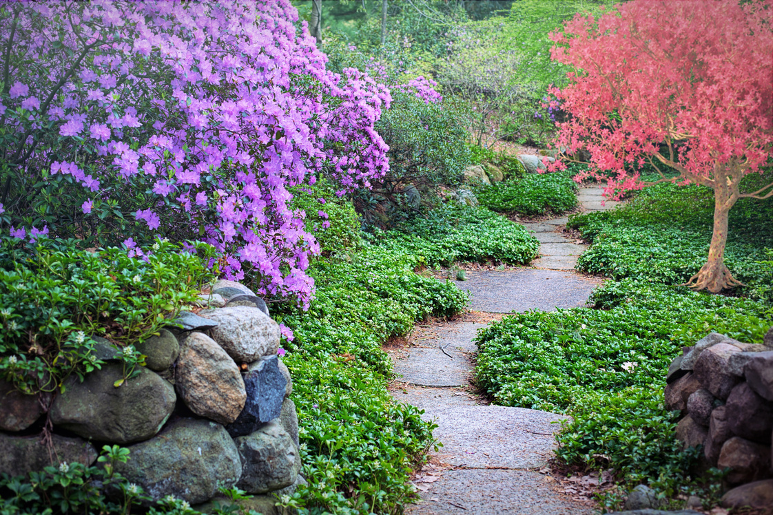 Path in the Garden