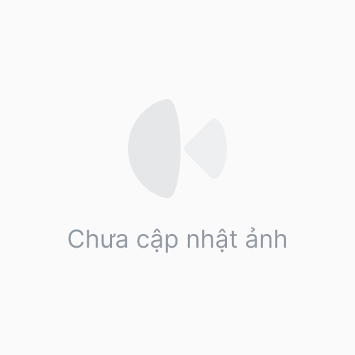 Chậu composite giả đá Anber TAMPA + Tự tưới AWS